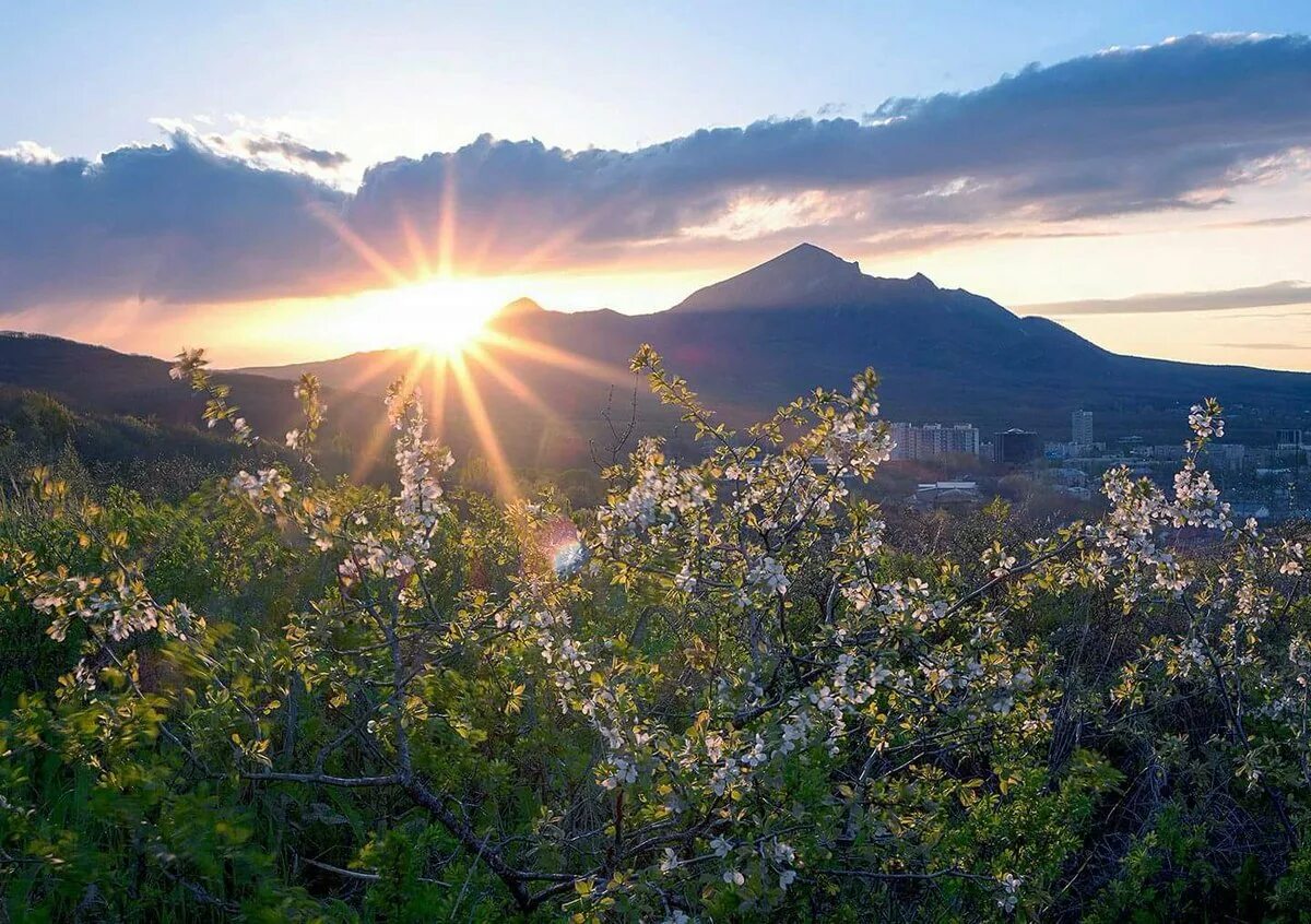 Минеральные воды горы кавказа. Курортный район кавказские минеральные воды пятигорск. Минеральные воды северного кавказа. Кавказские минеральные воды города пятигорск. Город минеральные воды ставропольский край.
