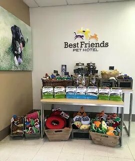 Best pet friends