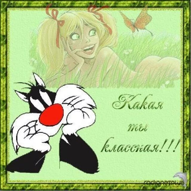 смешные комплименты девушке. весёлые комплименты девушке необычные. смс приколы. поздравление девушке. прикольные открытки для девушки.