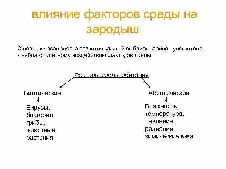 Влияние окружающей на развитие организмов. Влияние факторов внешней среды на онтогенез. Влияние факторов окружающей среды на онтогенез. Влияние факторов среды на зародыш. Влияние факторов среды на эмбрион.