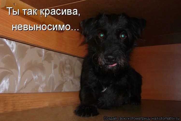 Ты так красива невыносимо любить призрак белый. Ты так красива невыносимо. ты так красива не выносима. ты так красива невыносимо картинки. и так красивая.