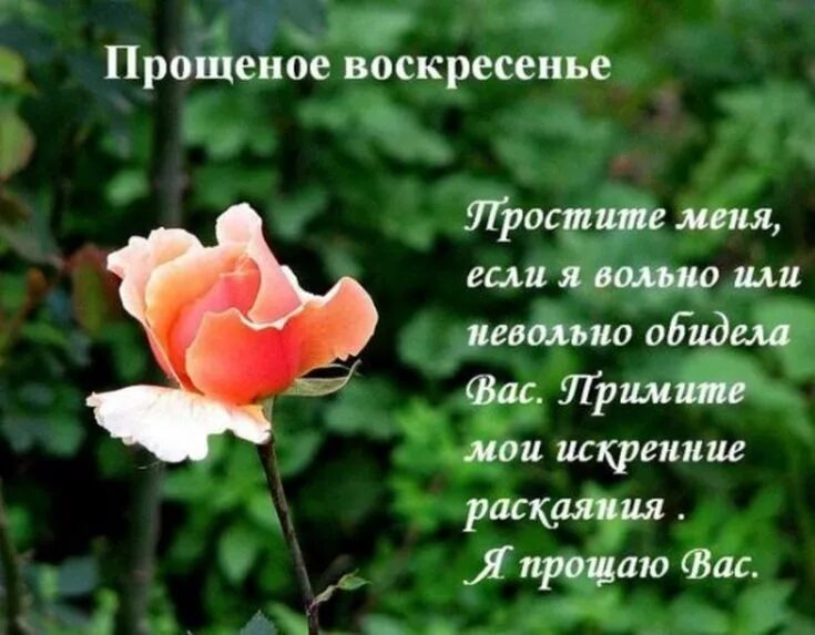 Всего хорошего а он прощения