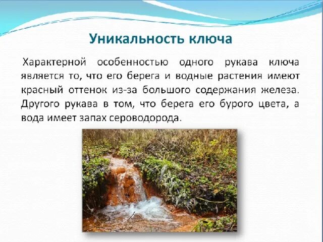 Можно ли пить из родника. Откуда течет вода из родника. Можно пить воду из родника. Откуда вода из родника поступает. Оттаивание воды из родника.