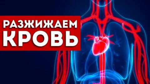 Разжижать сосуды