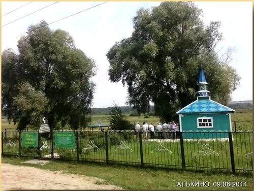 Алькино самарская область. Алькино Похвистневский район Самарской области. Село Алькино Похвистневский. Школа Алькино Похвистневский район. Деревня Алькино Самарская область.