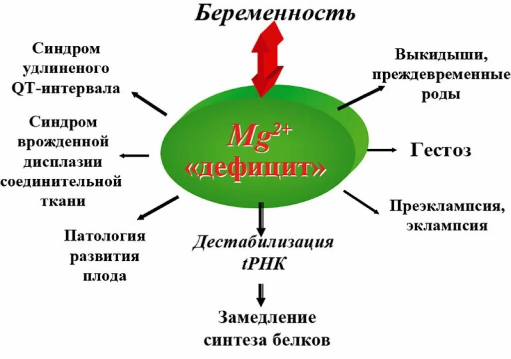 Дефицит магния в организме. Недостаток магния в организме. Недостаток магния в организме симптомы. Дефицит магния в организме симптомы. Недостаток калия и магния симптомы