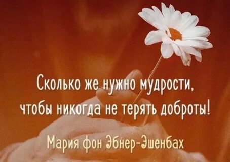 Картинки быть мудрым