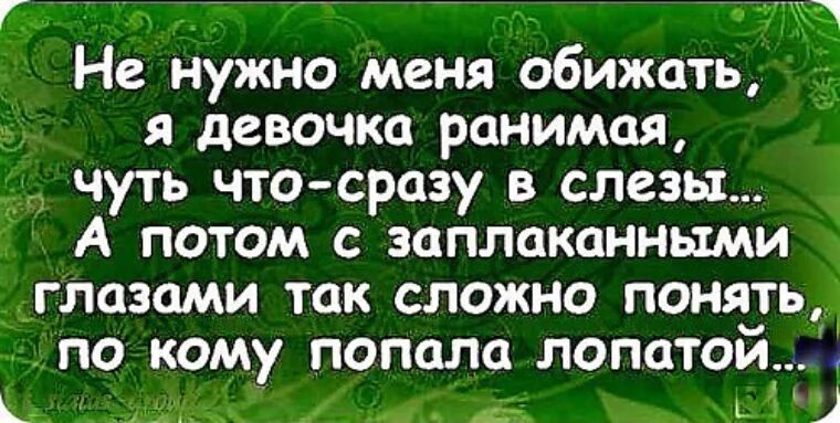 Нельзя обижать девочек. Не надо меня обижать я девочка ранимая. Меня обидели. Девушек обижать нельзя. Я девочка ранимая.