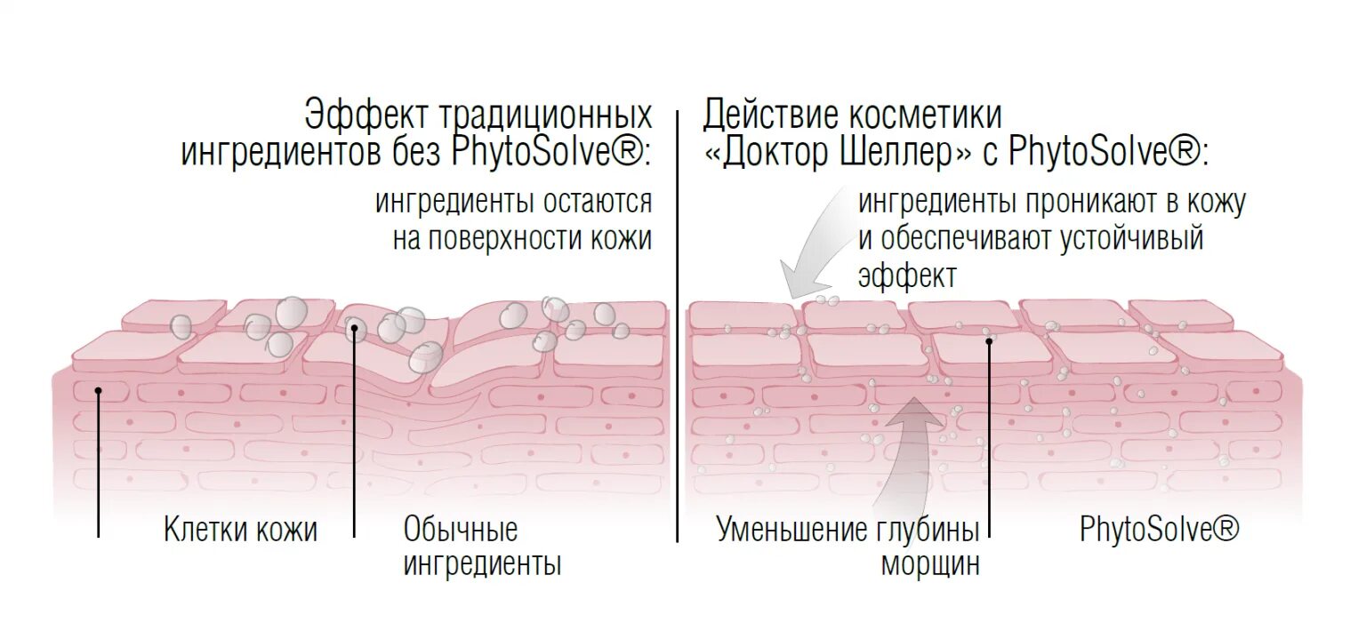 Косметика проникает в кожу. Проникает в глубокие слои кожи. Проникновение косметики в кожу.