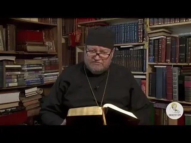 Стеняев книга судей