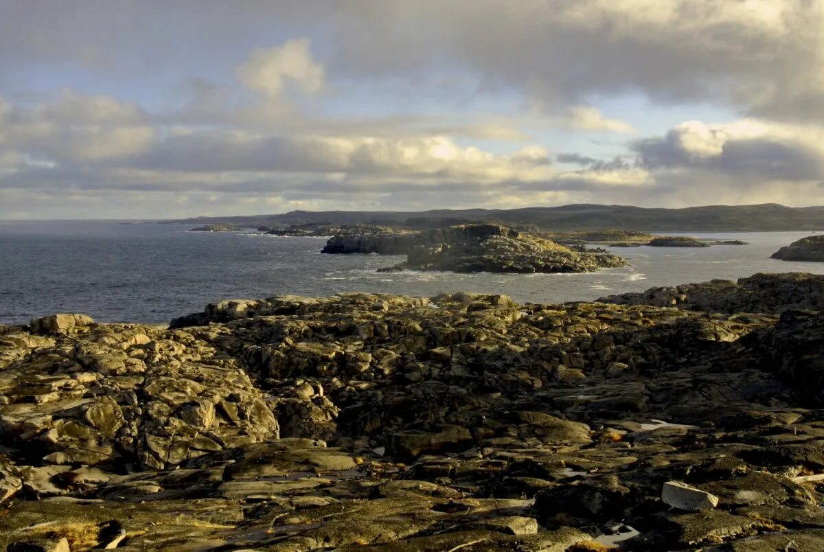 Берег баренцева моря териберка. Баренцево море пляж териберка. Северный ледовитый океан териберка. Остров рыбачий мурманская область. Кольский залив баренцева моря.