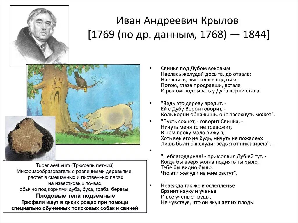 Свинья наевшись желудей до отвала. Свинья под дубом. Свинья под дубом вековым. Свинья под дубом вековым. Свинья наевшись желудей досыта.