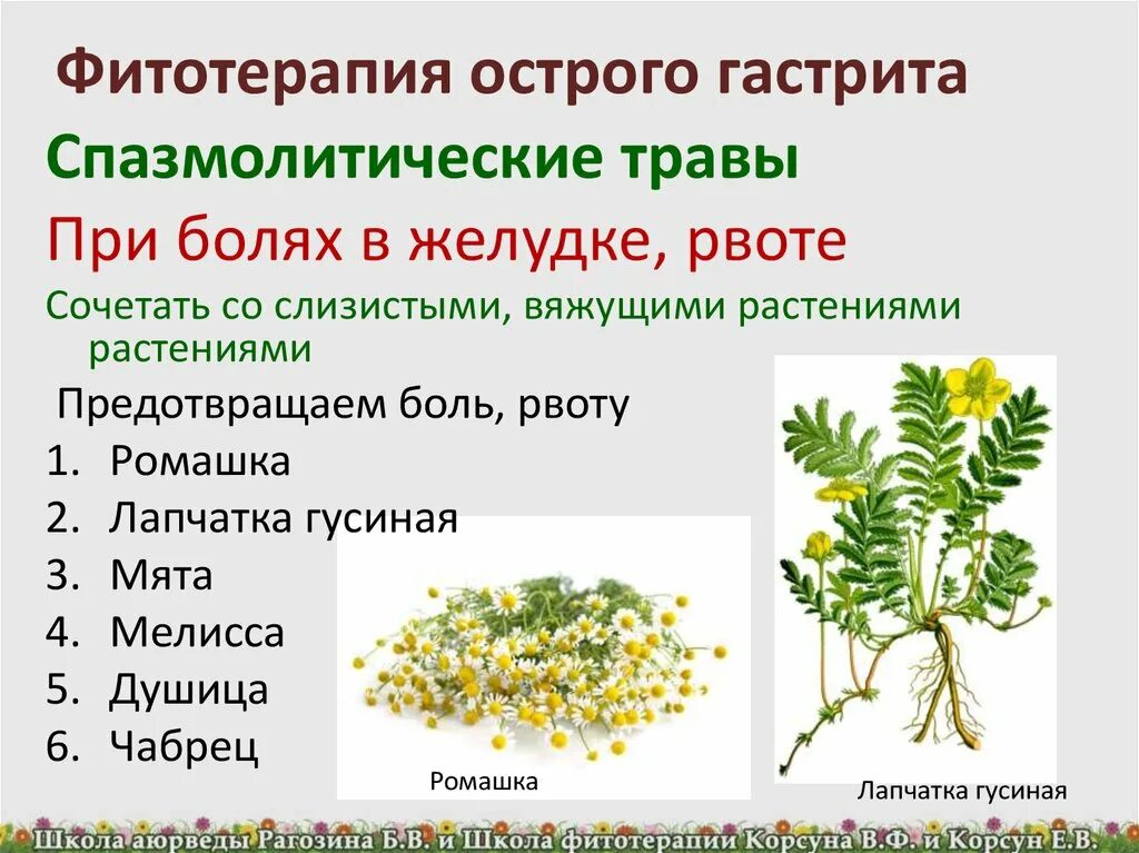 Травы при рвоте. Фитотерапия при гастрите. Растения от боли в желудке. Лекарственные растения при гастритах. Можно пить при ковиде