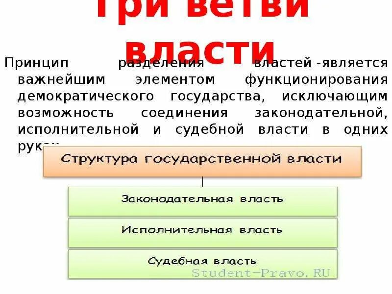 1 из ветвей власти в демократическом государстве