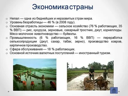 Уровень экономического развития чад