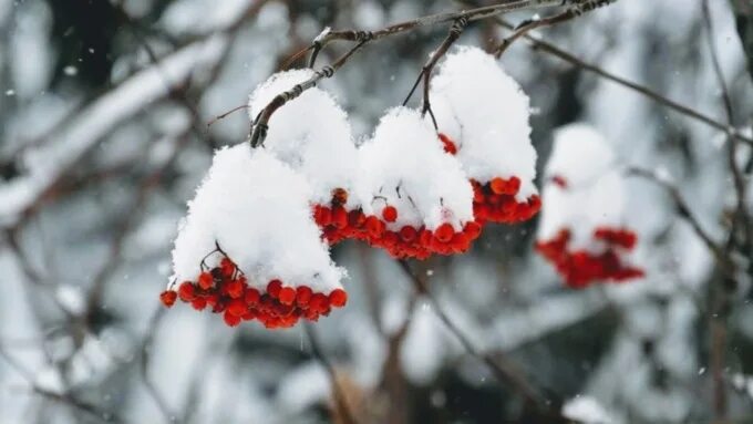 #Тюмень Автор фото - Антон Мальцев 2016 Мебель на заказ в Тюмени. Кухни, Шкафы В