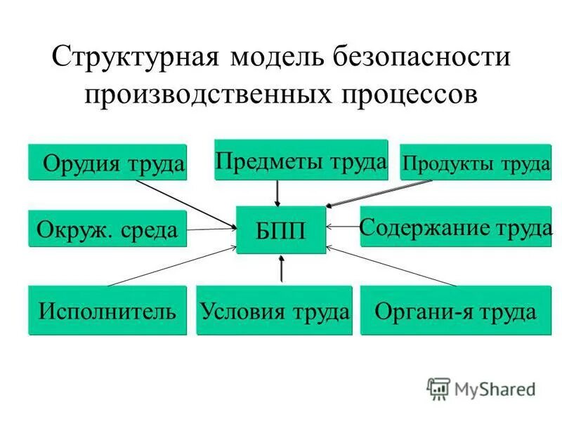 структура жизнедеятельности человека
