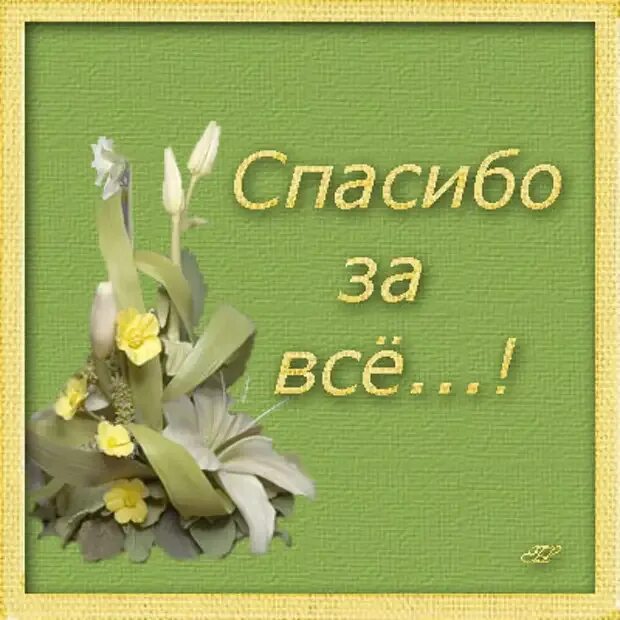 Спасибо провели. Спасибо за все. Открытки с благодарностью мужчине. Открытка спасибо за все. Открытка с благодарностью за внимание и заботу.