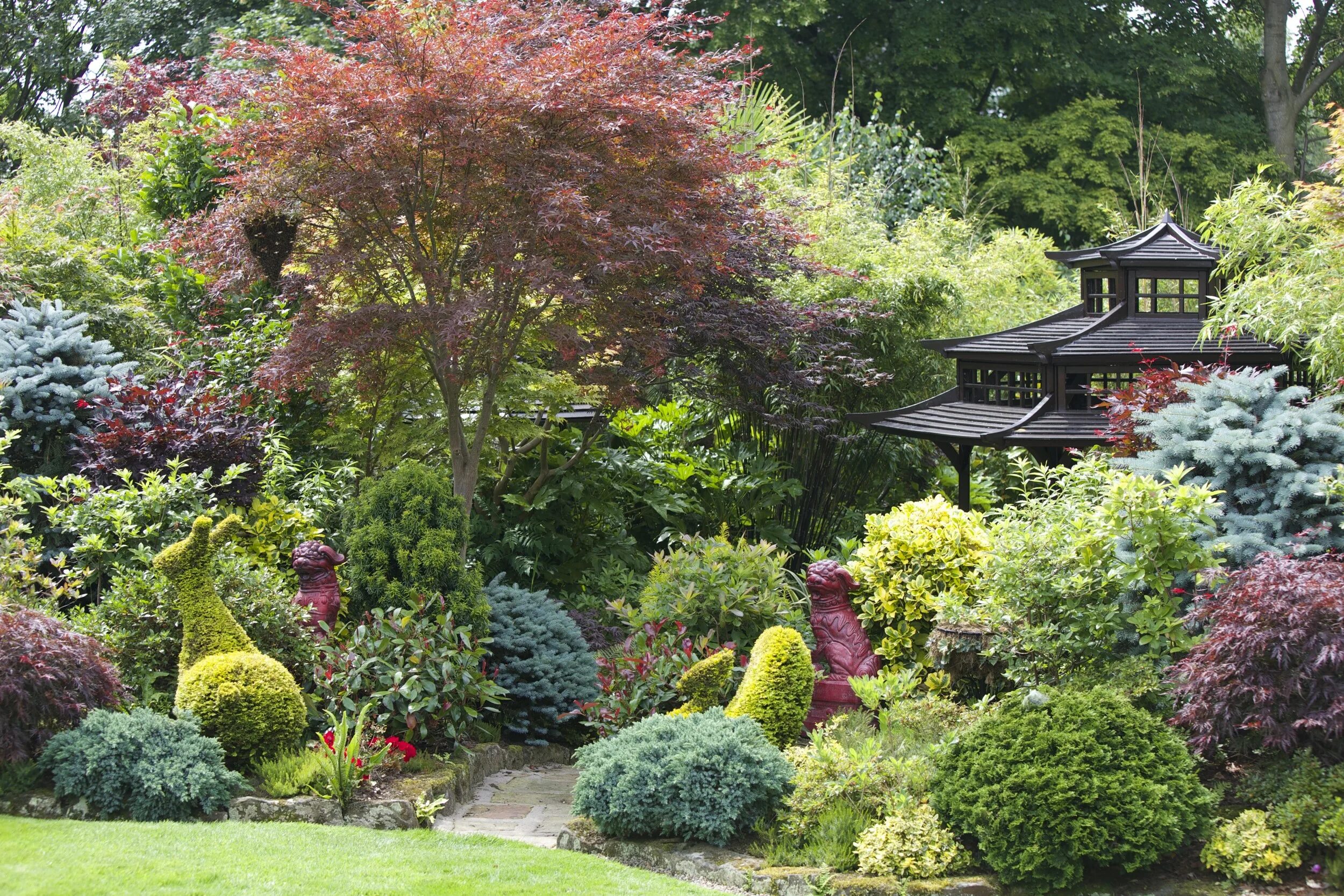 Walsall-Garden Англия. Деревья в саду. Из дерева для сада. Деревья в английском саду.