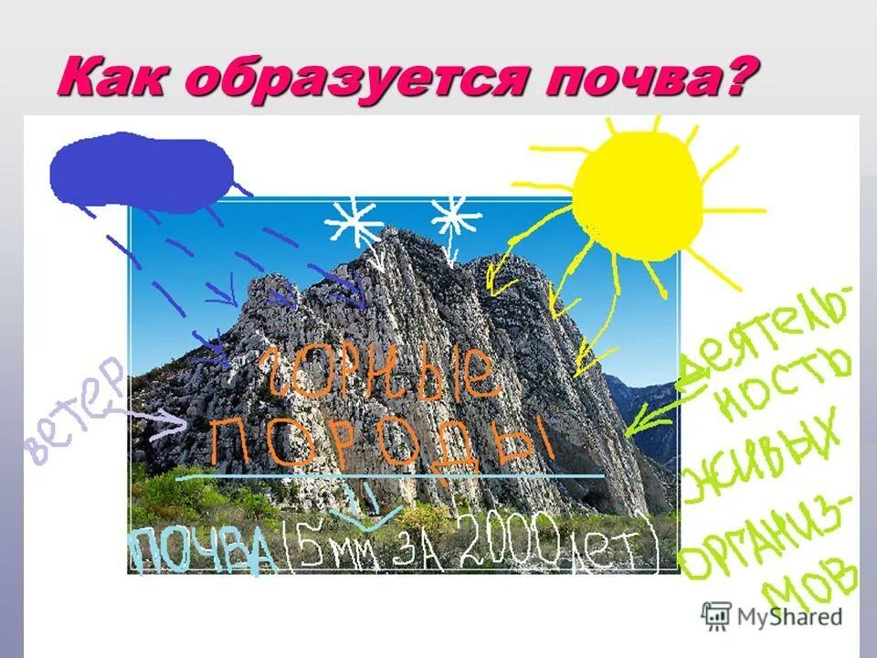 Почва образовалась в результате. Как образуется почва. Схема образования почвы. Как образуется почва 3 класс. Как обрапзовалась почв.