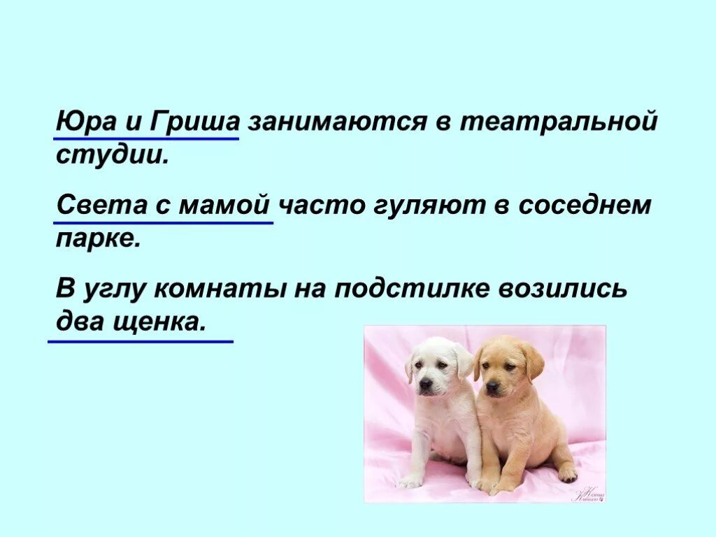 2 предложения с одушевленными. Предложения с одушевленными и неодушевленными. в углу комнаты возились два щенка. обращения с одушевленными и неодушевленными существительными. придумай предложение с одушевленным существительным.