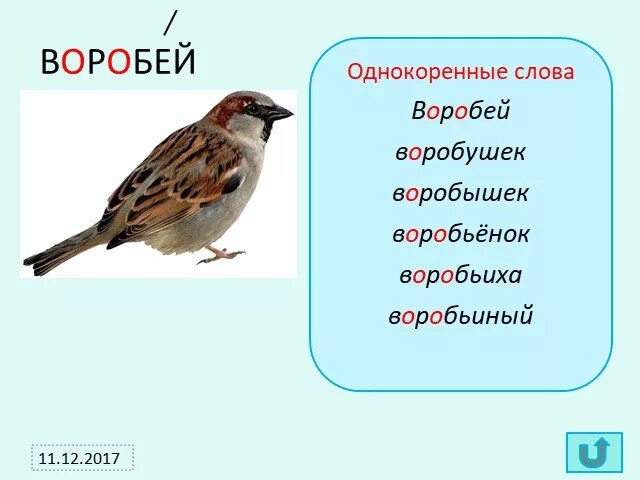 Сова однокоренные. Воробей проверочное слово. воробей однокоренные слова. воробей корень слова. воробей словарное слово.