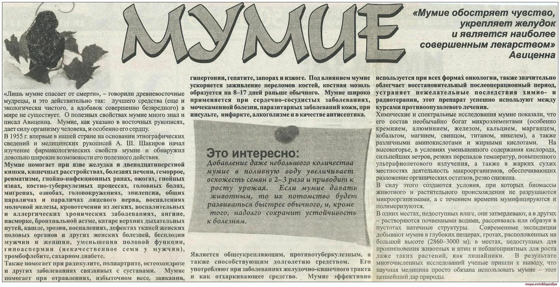 Купить Мумие горная благодать 10г в Москве: цена с доставкой в каталоге интернет