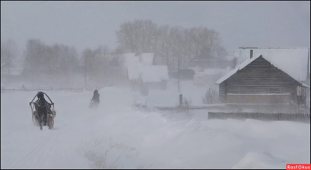 суровый далеко