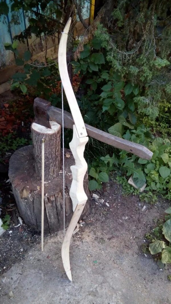 Что делать с луком на зиму