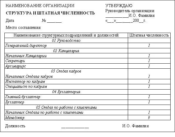 Структура и штатная численность работников. Структура и штатная численность организации пример. структура и штатная численность бланк образец. структура и штатная численность пример заполнения. структура и штатная численность образец 2025.
