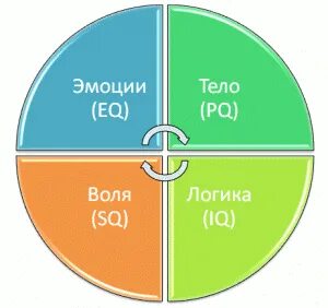 Eq что это