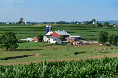 Amish built deer blinds wisconsin