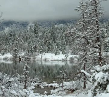 Winter freeze
