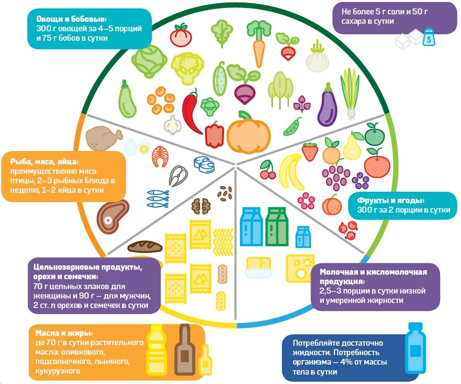 Правильное питание распределение. Диаграмма правильного питания. Диаграмма по здоровому питанию. Распределение продуктов на правильном питании. Здоровое питание школьников регистрация