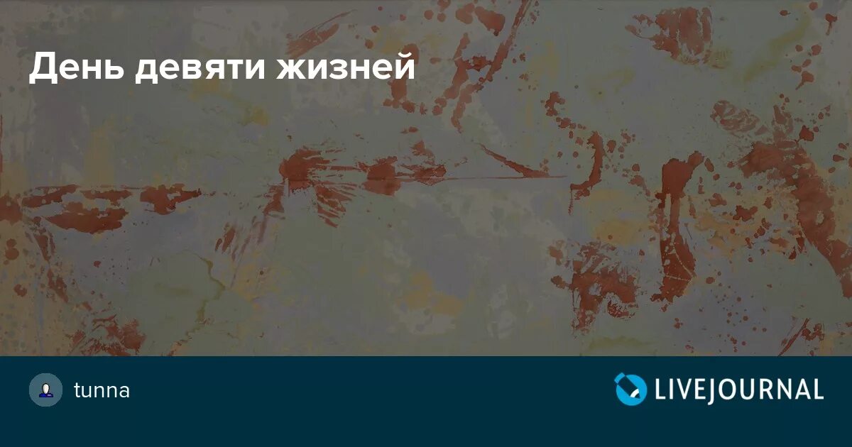 Живу с 9 классами. 10 Мая день 9 жизней. День девяти жизней праздник. Праздники 10 мая день девяти жизней. 10 Мая девять жизней.