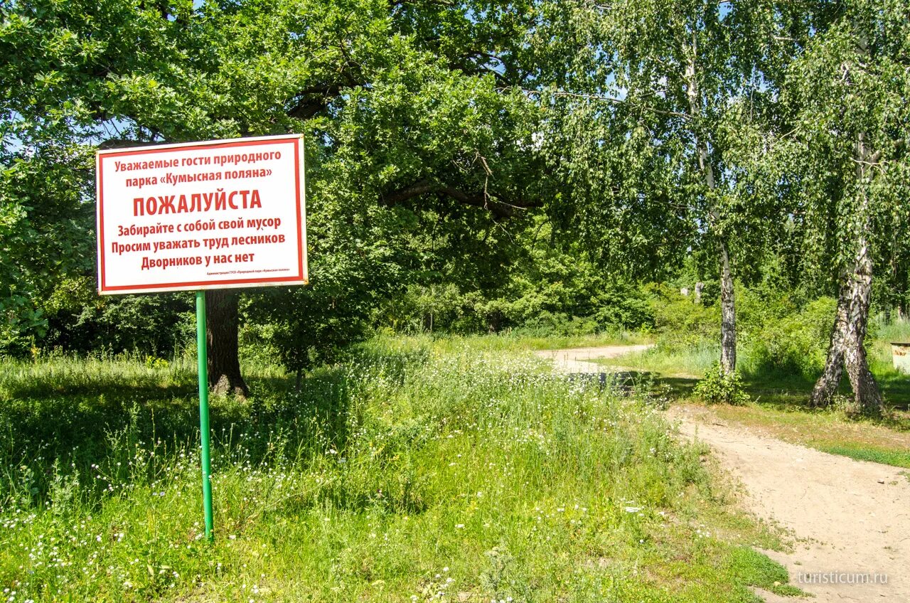 Земли природного парка. Парк Кумысная Поляна Саратов. Заповедник Саратовской области Кумысная Поляна. Кумысная Поляна Саратов сосны. Веломаршрут Кумысная Поляна.