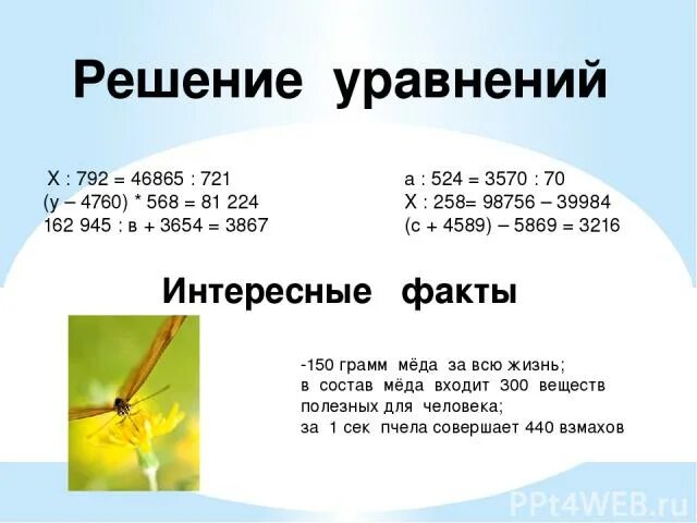 Решить уравнение х разделить на. Уравнение 4 • на x =792. реши уравнение 4*х=792. как решить уравнение x-721-300=721-70.