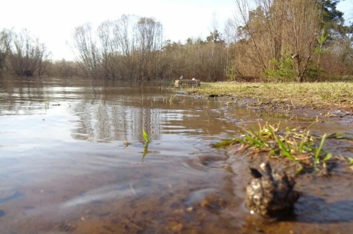 Вода в реках уфы. Весенний разлив реки. Весенний разлив вод. Борисоглебск половодье. Апрель река.