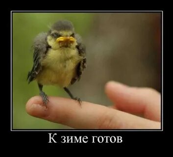 Почем зря