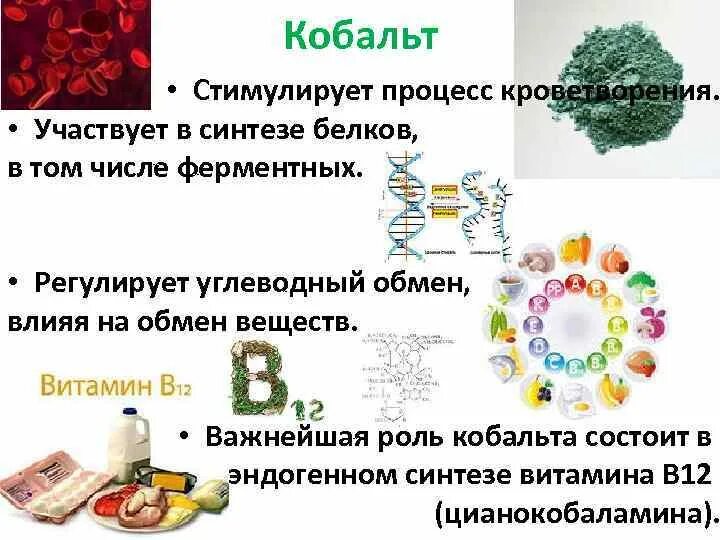 Кобальт питание. Биологическая роль кобальта. кобальт в организме человека. биологическая роль кобальта в организме. функции кобальта в организме человека.