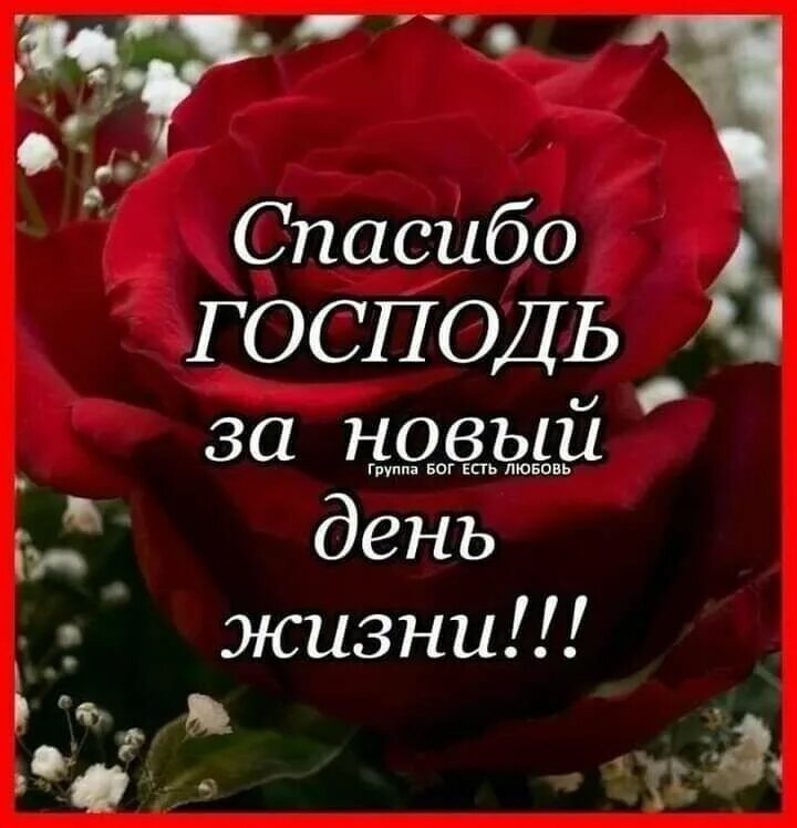 Спасибо господи за новый день. Благодарю господа за новый день. Открытка благодарность богу. Благодарю за новый день. Спасибо господи за новый день.