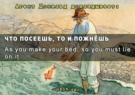You must your