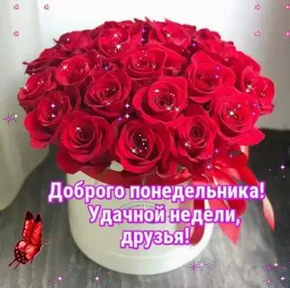 Доброго понедельника и удачной