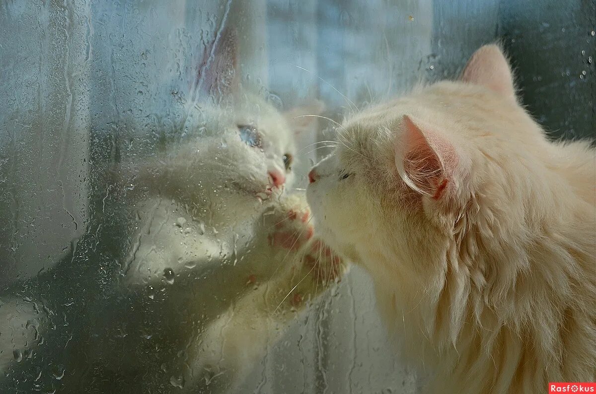 песня наклонилось небо ниже и пошел. песня наклонилось небо ниже и пошел. песня наклонилось небо ниже и пошел. наклонилось вдруг небо ниже и пошел стучать дождь. песня наклонилось небо ниже и пошел.