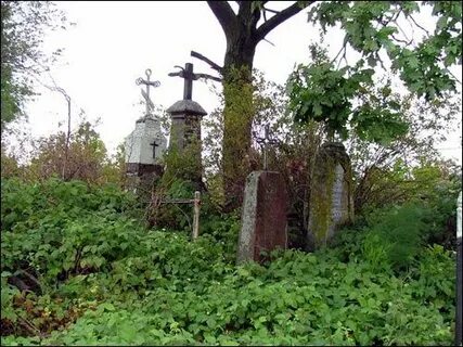 Сегодня погода в негневичи