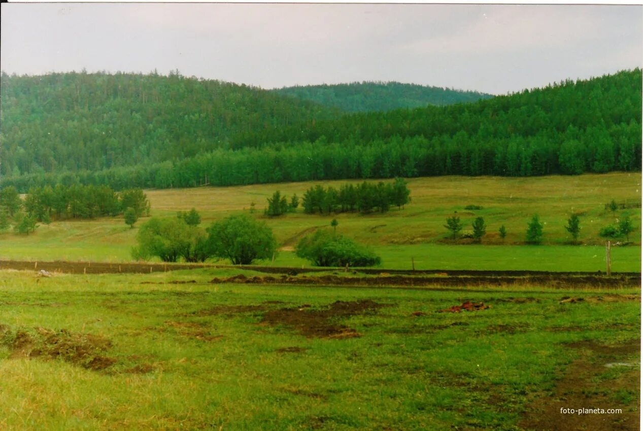 П таежный. Таежный красноярский край.