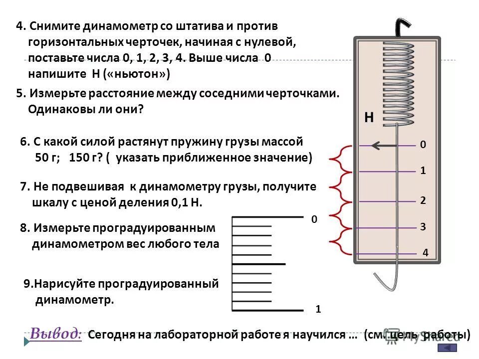 Лабораторная работа градуирование пружины и измерение. Градуирование пружины динамометра. динамометр градуирование пружины и измерение сил динамометром. лабораторная работа динамометр 7 класс. измерение сил динамометром лабораторная работа.