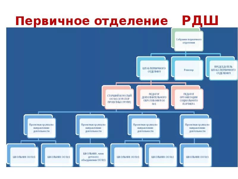 Первичное отделение РДШ. Первичное отделение школы структура. Структура первичного отделения РДШ В школе. Первичное отделение РДШ В школе схема. Создание первичного отделения движение первых