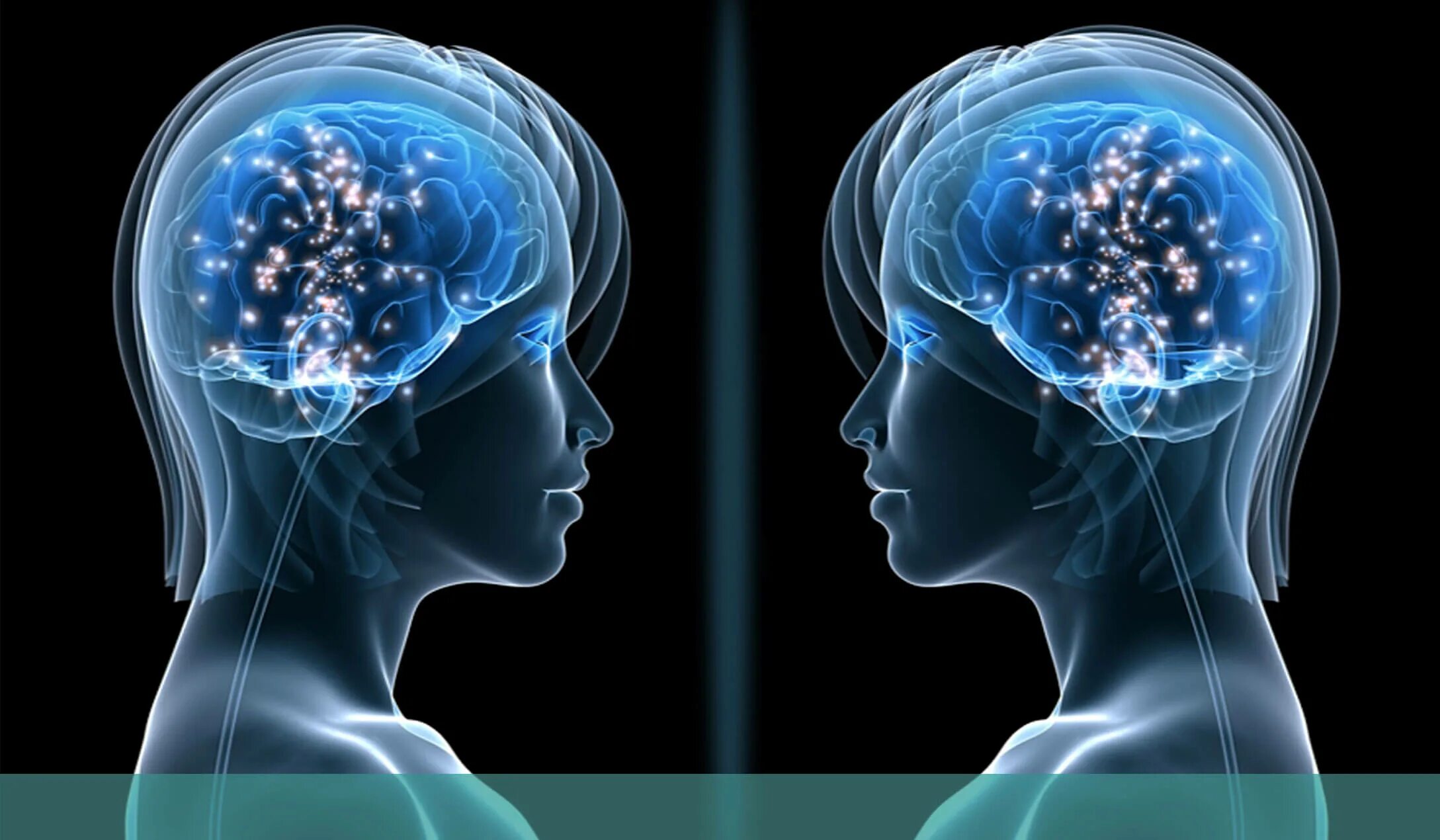 Neural system