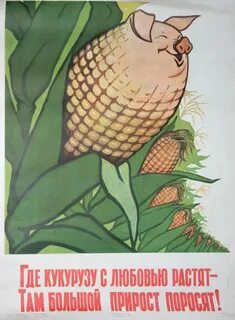 Кукурузная лихорадка